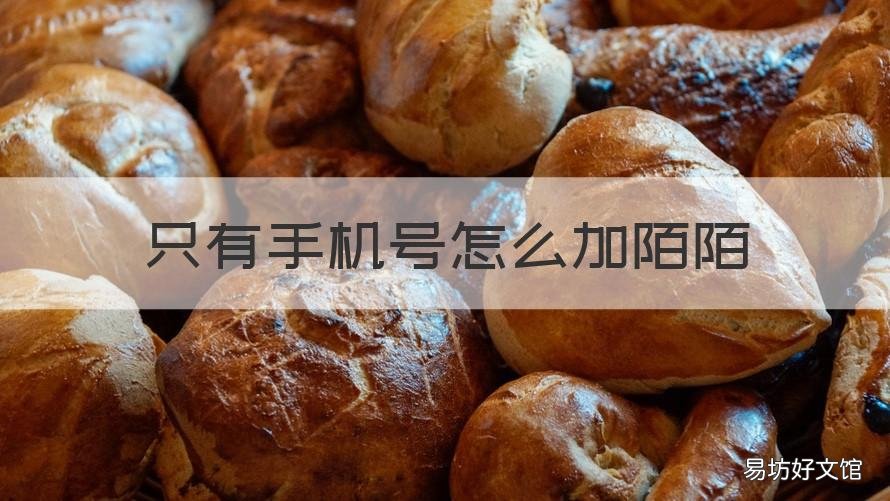 只有手机号怎么加陌陌 陌陌输入手机号可以加吗