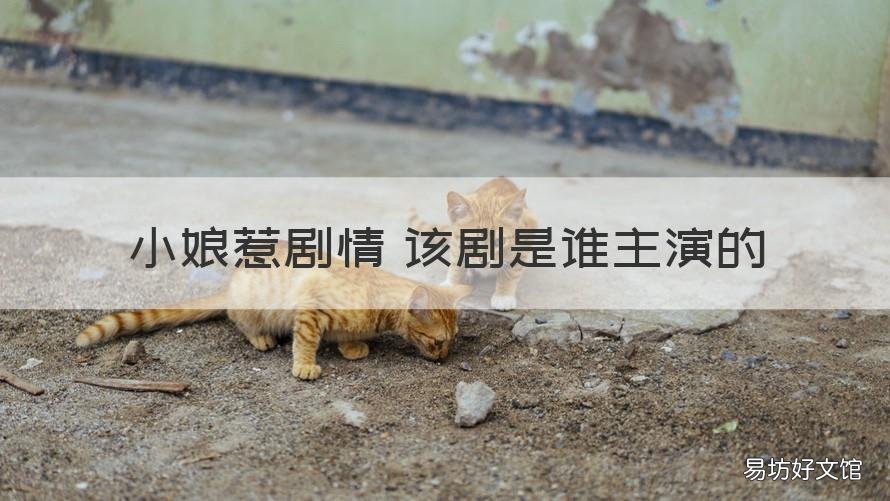 小娘惹剧情 该剧是谁主演的 小娘惹电视剧剧情介