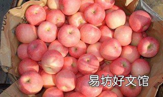 怎么把3个苹果平均分给6个人 三个人分两个苹果怎么平均分
