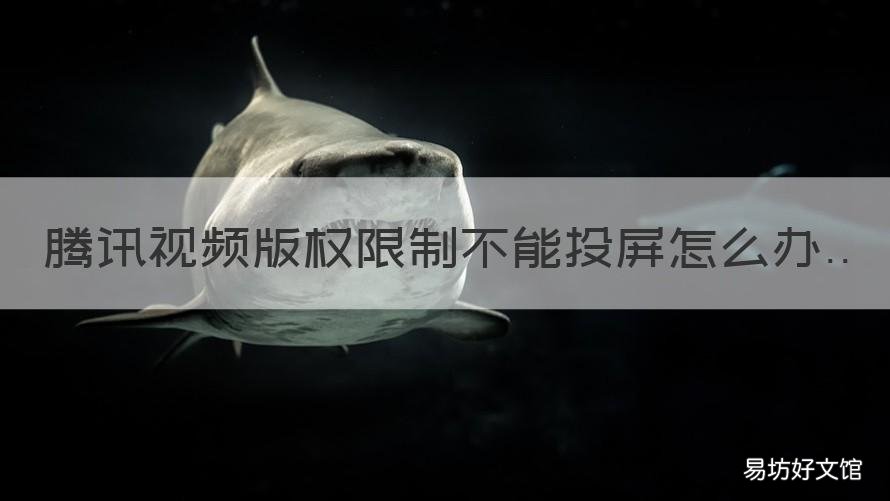 腾讯视频版权限制不能投屏怎么办 腾讯视频受版权保护无法投屏