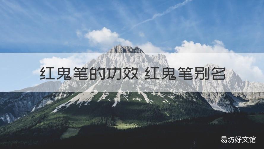 红鬼笔的功效 红鬼笔别名 黄鬼笔的功效