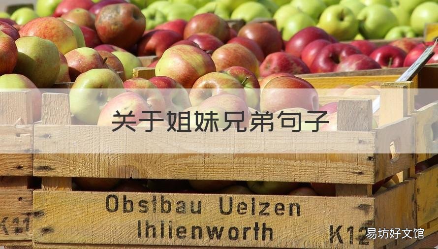 关于姐妹兄弟句子 兄弟姐妹之间的唯美短句