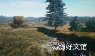 用了画质助手怎么恢复 用了画质助手怎么恢复原来
