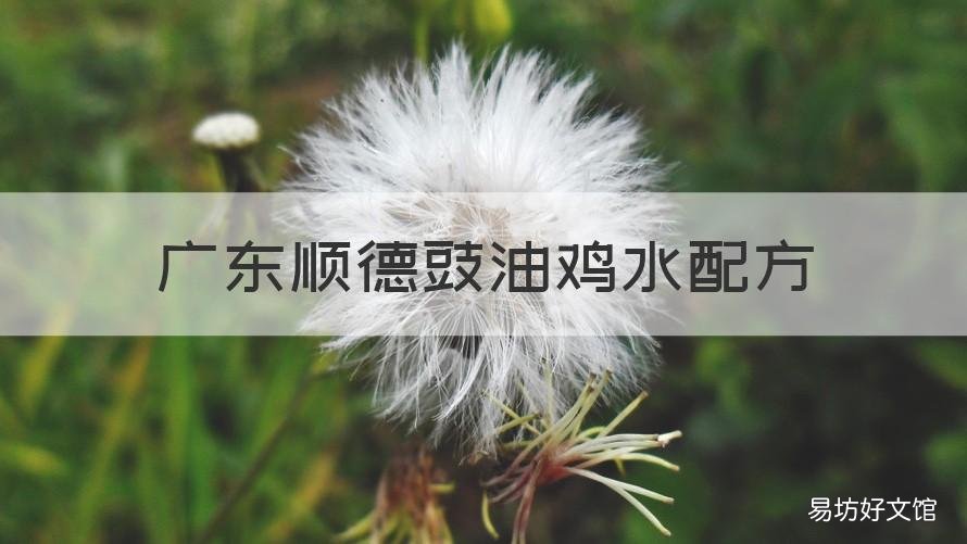 广东顺德豉油鸡水配方 顺德豉汁配方