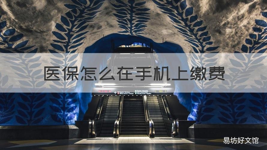 医保怎么在手机上缴费 河南医保怎么在手机上缴费