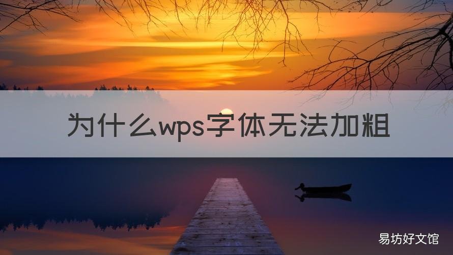 为什么wps字体无法加粗 wps字体不加粗怎么设置