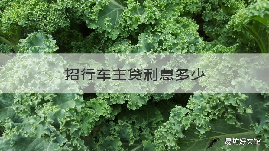 招行车主贷利息多少 招行买车贷款利息