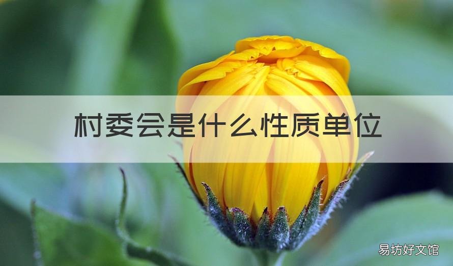 村委会是什么性质单位 村委会是什么性质单位属于政府机构