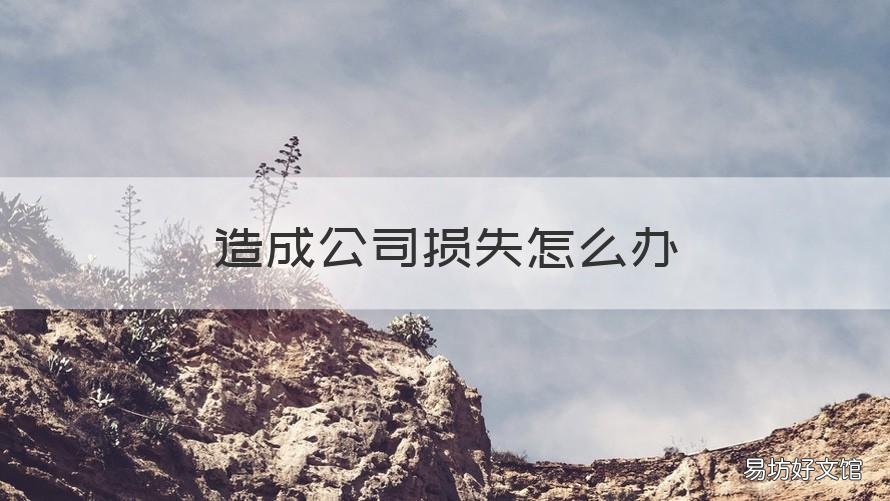 造成公司损失怎么办 造成公司损失怎么办理