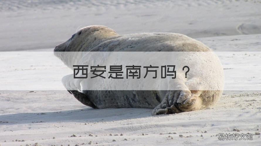 西安是南方吗 西安其实是南方