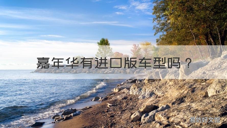 嘉年华有进口版车型吗 嘉年华轿车