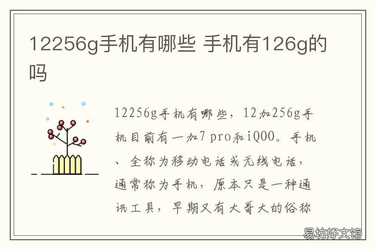 12256g手机有哪些 125g的手机