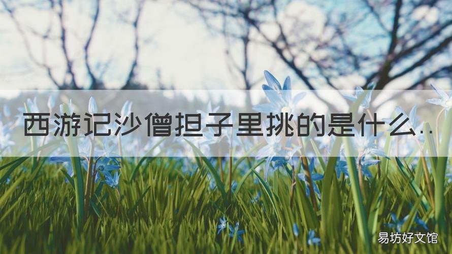 西游记沙僧担子里挑的是什么 西游记沙僧担子里挑的是什么花