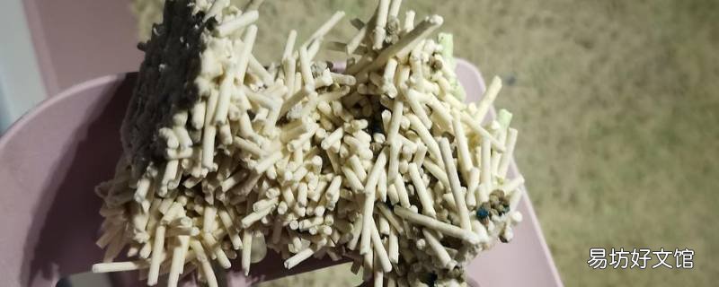 活性炭猫砂的优缺点 活性炭猫砂与豆腐猫砂的区别