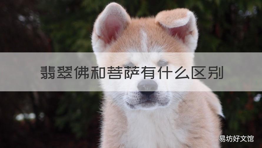 翡翠佛和菩萨有什么区别 玉佛和翡翠佛