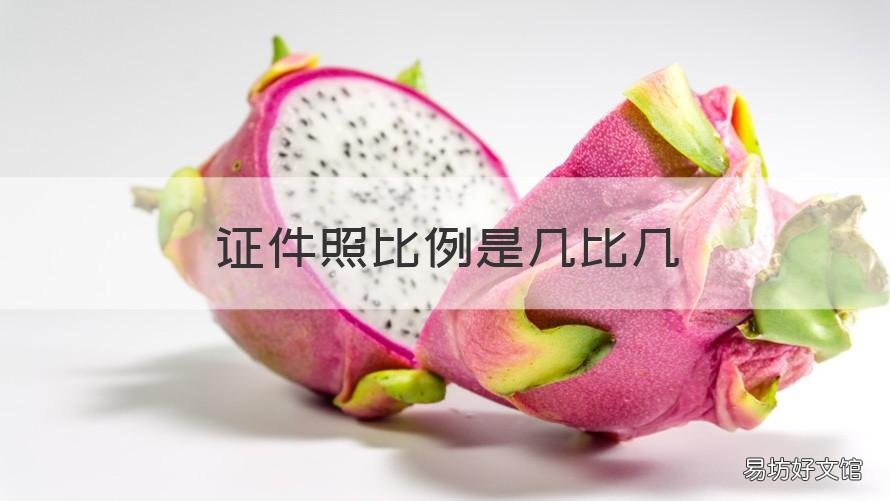 证件照比例是几比几 证件照比例是几比几的尺寸