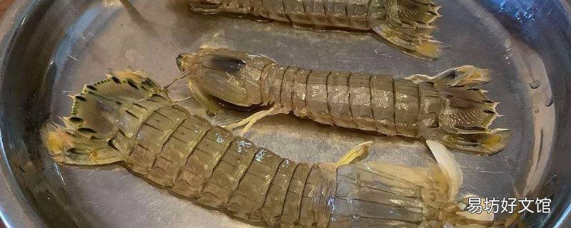 皮皮虾能放几天 皮皮虾怎么才能放时间长