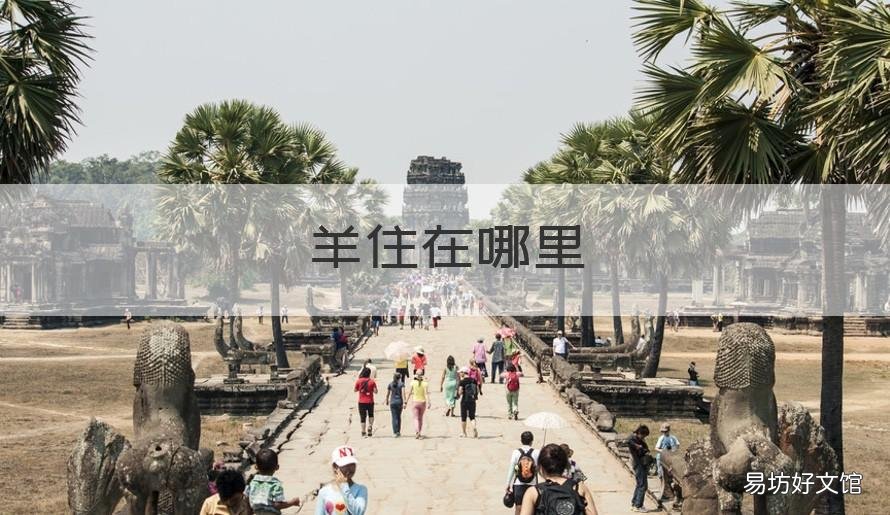 羊住在哪里 羊住在哪里英语回答