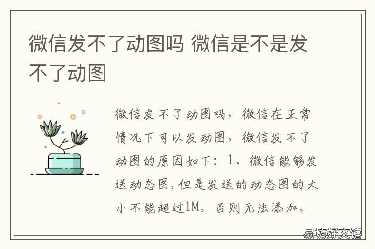 微信发不了动图吗 为什么动图发到微信不动