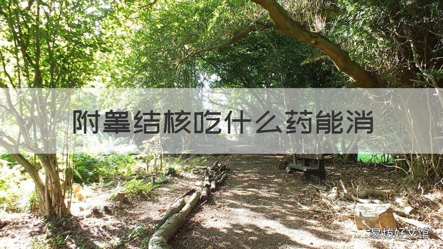 附睾结核吃什么药能消 附睾结核吃什么药能消炎