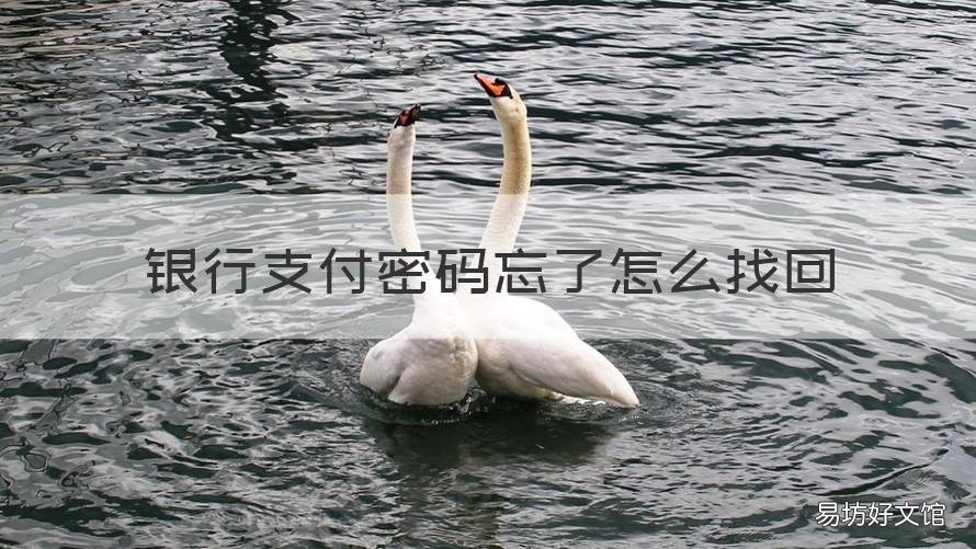 银行支付密码忘了怎么找回 手机银行忘记支付密码怎么找回密码