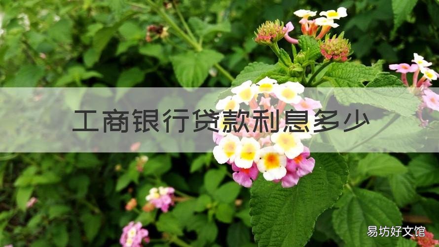 工商银行贷款利息多少 工行贷款利息是多少?