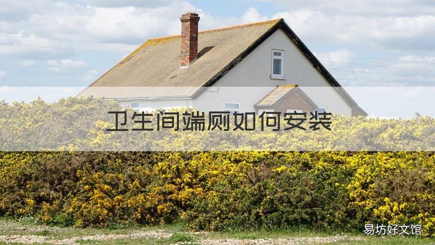 卫生间端厕如何安装 坐厕是怎么安装的