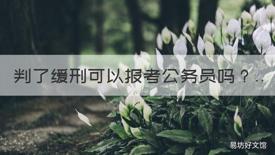 判了缓刑可以报考公务员吗 我被判缓刑了,就一定不能考公务员了吗?