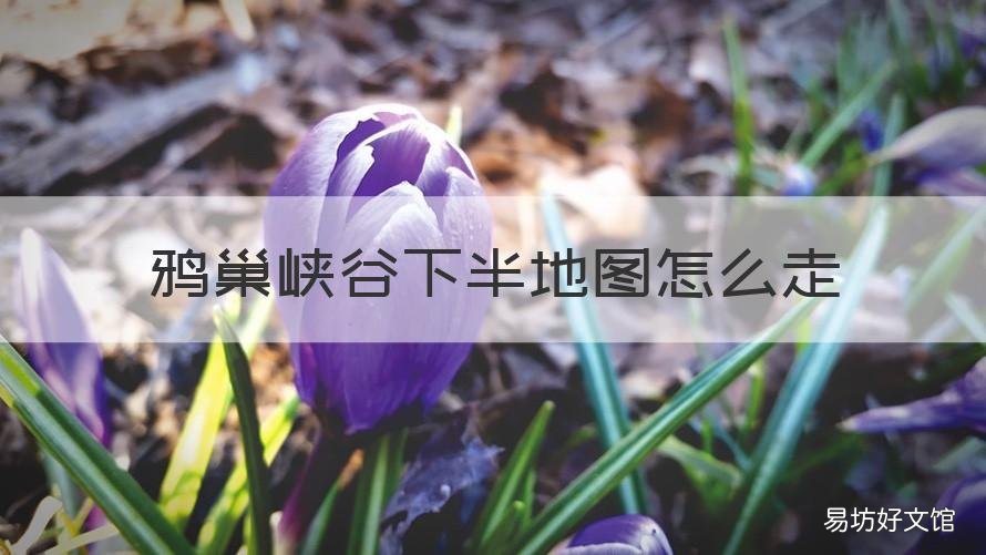 鸦巢峡谷下半地图怎么走 鸦巢峡谷通关全图