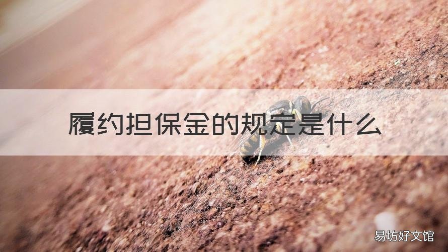 履约担保金的规定是什么 履约担保金的规定是什么时候实施