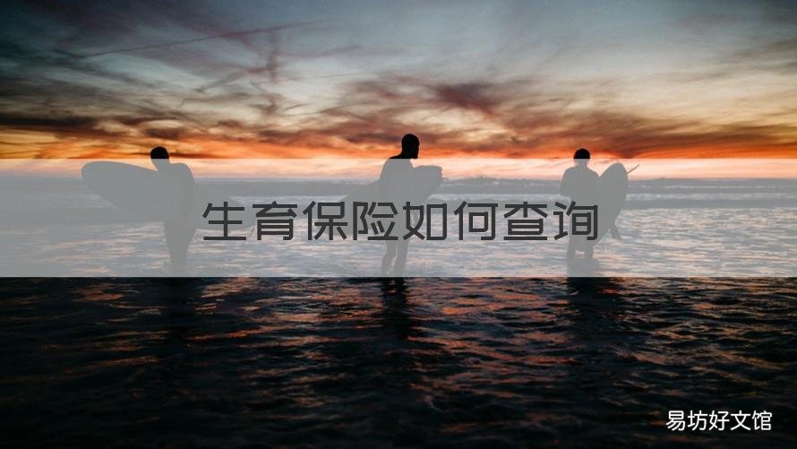 生育保险如何查询 生育保险如何查询个人账户
