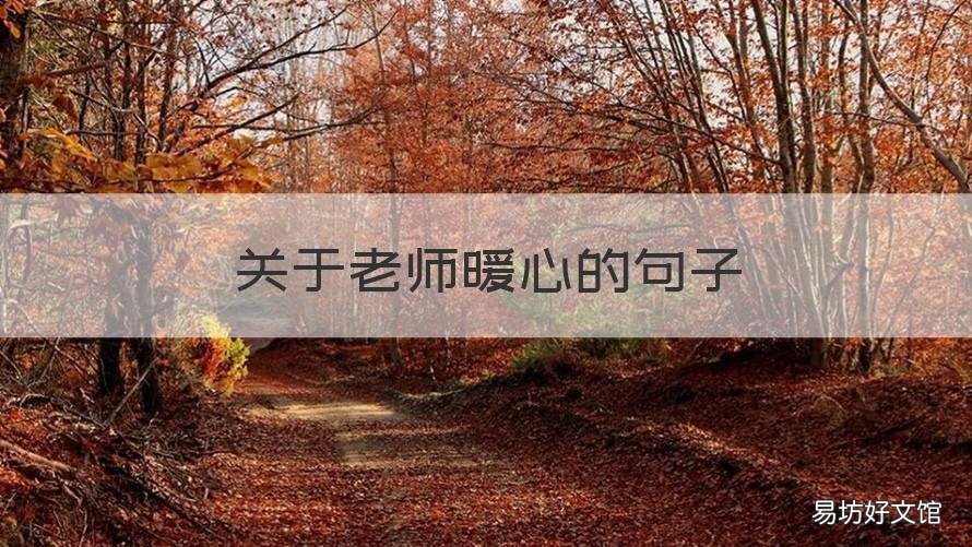 关于老师暖心的句子 给老师暖心的短句