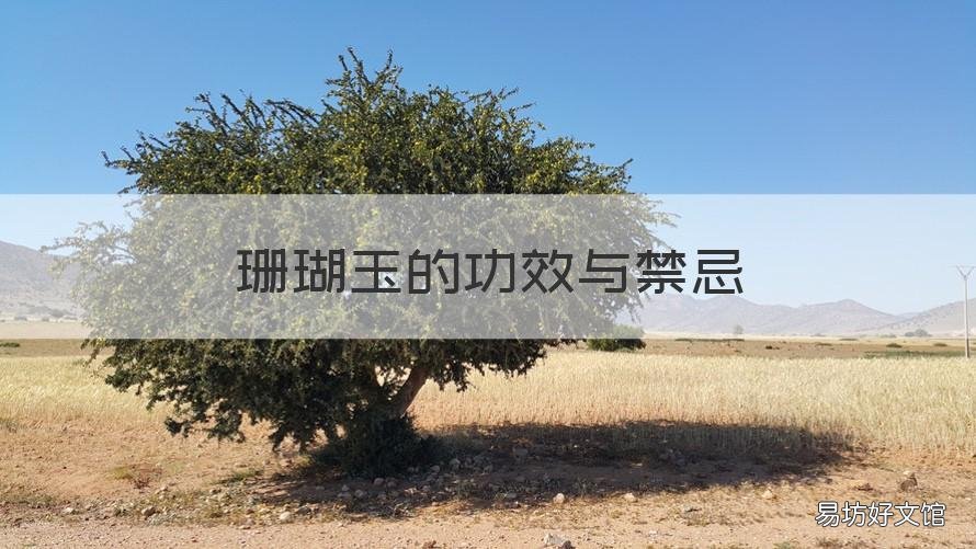 珊瑚玉的功效与禁忌 佩戴珊瑚玉有哪些功效?