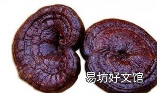 灵芝不能和什么同吃 灵芝不能和什么一起吃