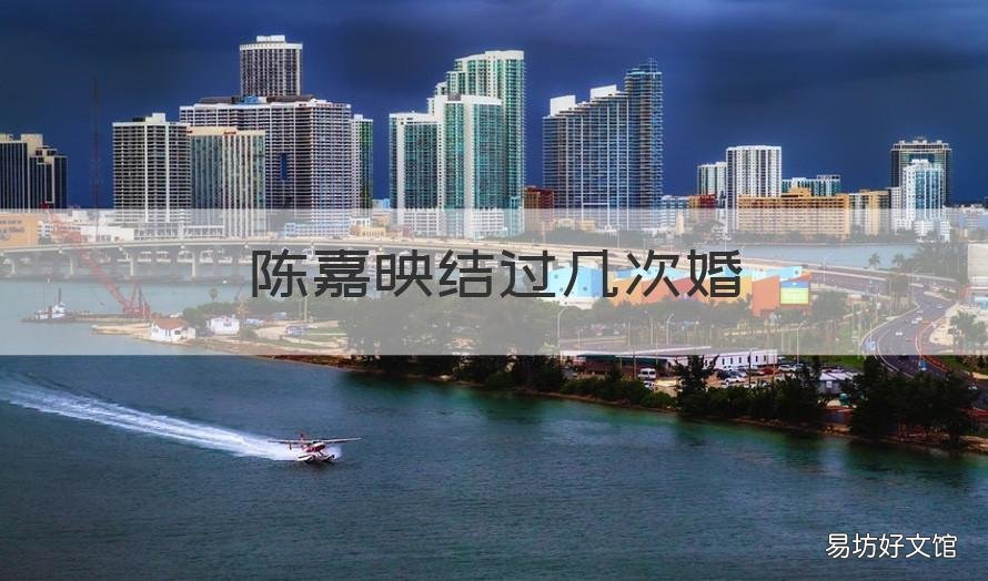 陈嘉映结过几次婚 陈嘉映的三段婚姻