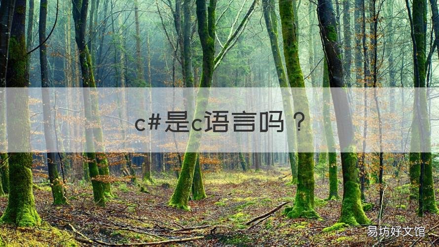 c#是c语言吗 c#是C语言