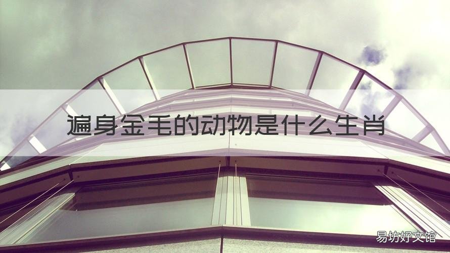 遍身金毛的动物是什么生肖 遍身金毛是什么生肖?