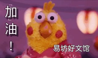 怎样复习一次通过网络统考?