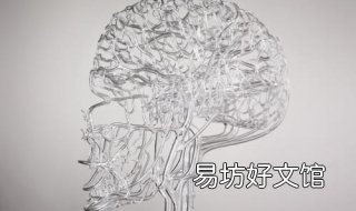 玻璃心是什么意思 有一颗玻璃心是什么意思