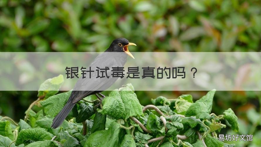 银针试毒是真的吗 银针试毒是真的还是假的