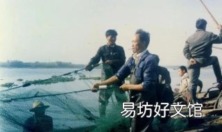 稚拙的意思 稚拙的意思是什么