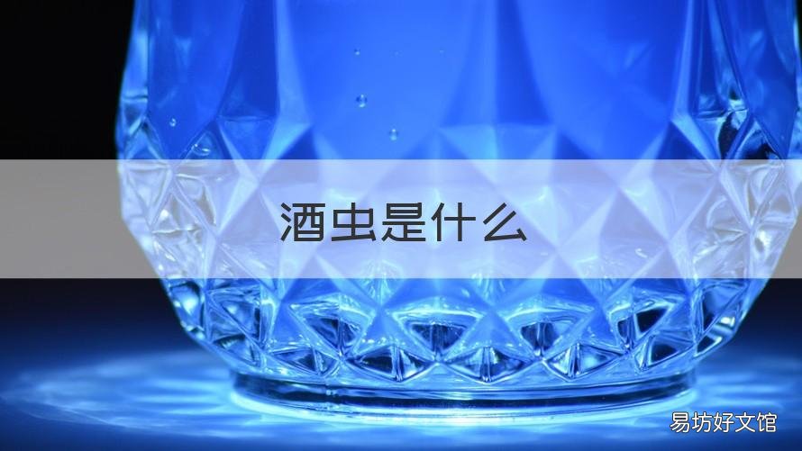 酒虫是什么 酒虫是什么生