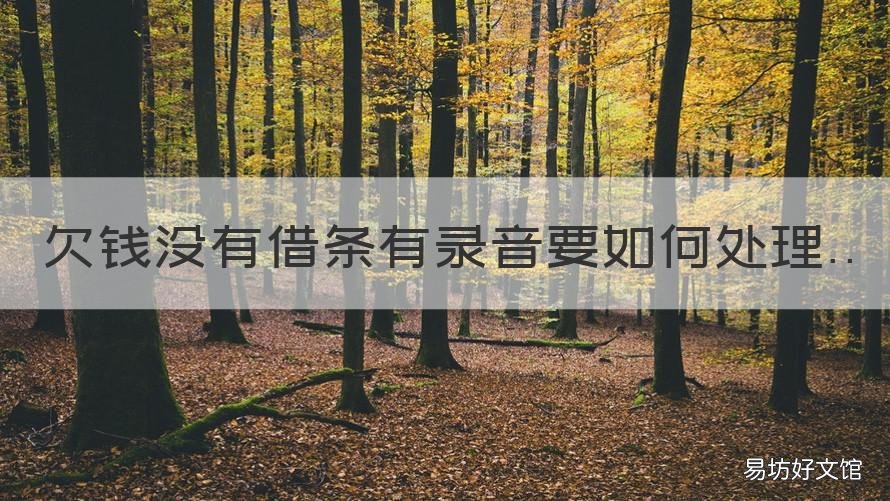 欠钱没有借条有录音要如何处理 欠钱没有借条录音有用吗