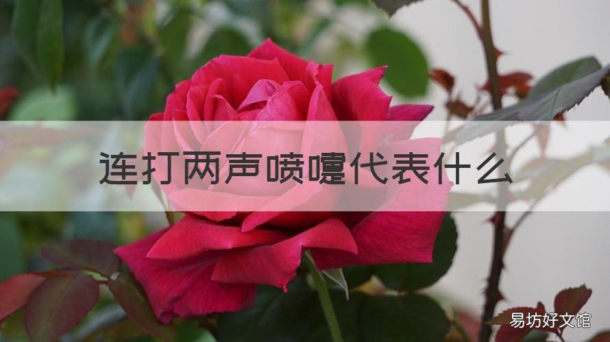 连打两声喷嚏代表什么 连打两声喷嚏代表什么意思