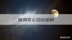 雄鸽怎么回血留种 雌鸽怎么回血留种