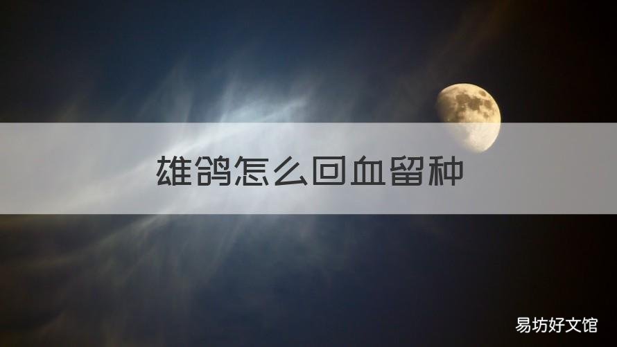 雄鸽怎么回血留种 雌鸽怎么回血留种