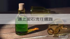 遇上泥石流往哪跑 遇到泥石流要往哪跑