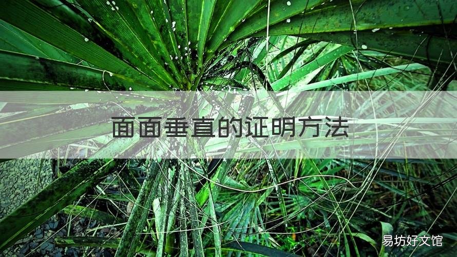 面面垂直的证明方法 面面垂直的证明方法视频