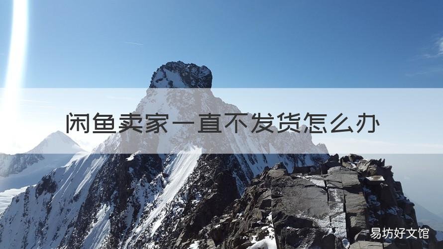 闲鱼卖家一直不发货怎么办 闲鱼买的东西卖家一直不发货怎么办