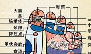 艾灸涌泉穴的禁忌有哪些 艾炙涌泉的禁忌